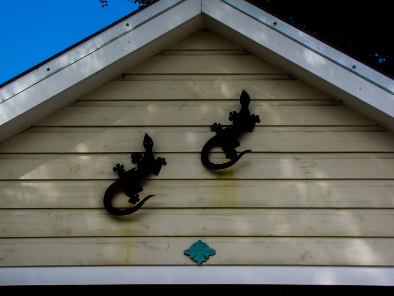 Local Shiplap Installation in San Rafael, CA