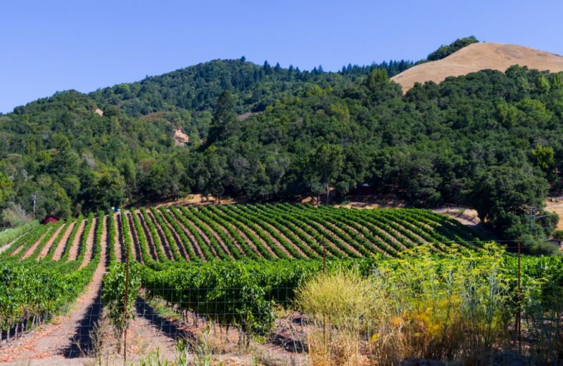 Local Interior Trim Service in Santa Rosa, CA