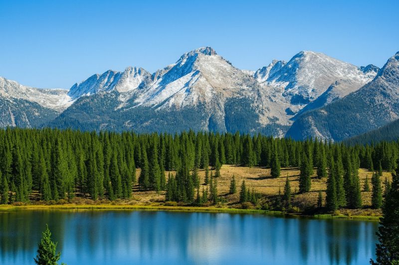 Local Wall Trim Repair Service in Lafayette, CO