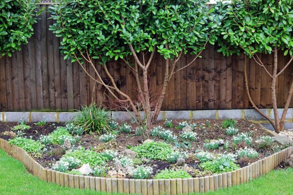 Wooden Edging Installation Service